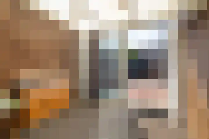 Pungel 25 Landgraaf thumbnail 23