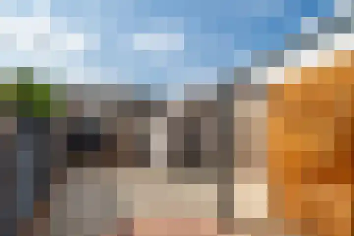 Pungel 25 Landgraaf thumbnail 46