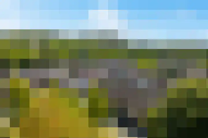Pungel 25 Landgraaf thumbnail 52