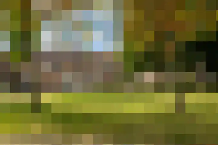 Pungel 25 Landgraaf thumbnail 56