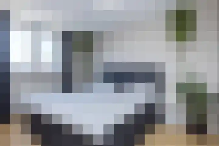 Pungel 31 Landgraaf thumbnail 12