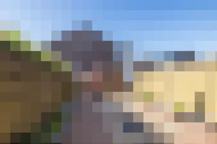 Pungel 31 Landgraaf thumbnail 21
