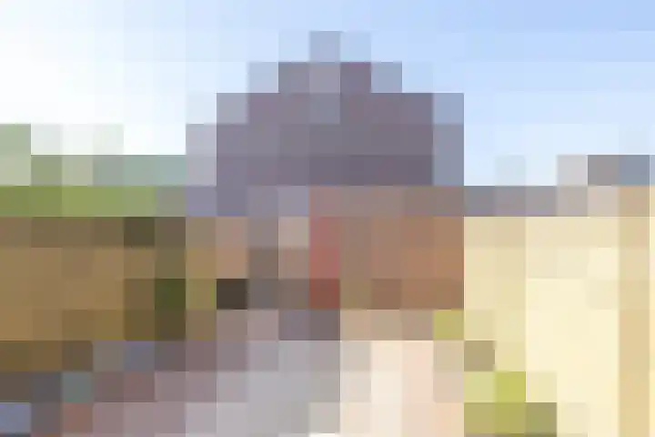 Pungel 31 Landgraaf thumbnail 22