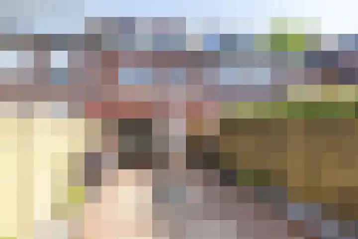Pungel 31 Landgraaf thumbnail 23