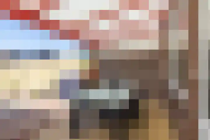 Pungel 31 Landgraaf thumbnail 26