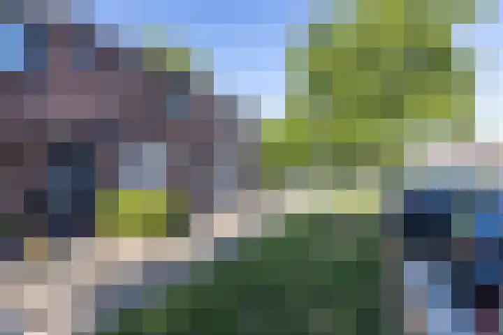 Pungel 31 Landgraaf thumbnail 27
