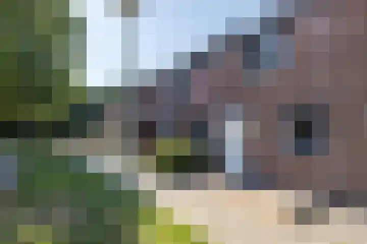 Pungel 31 Landgraaf thumbnail 29