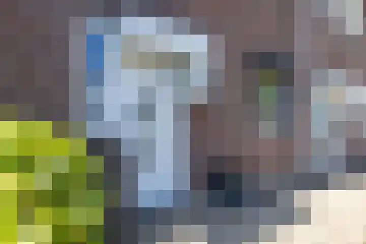 Pungel 31 Landgraaf thumbnail 30