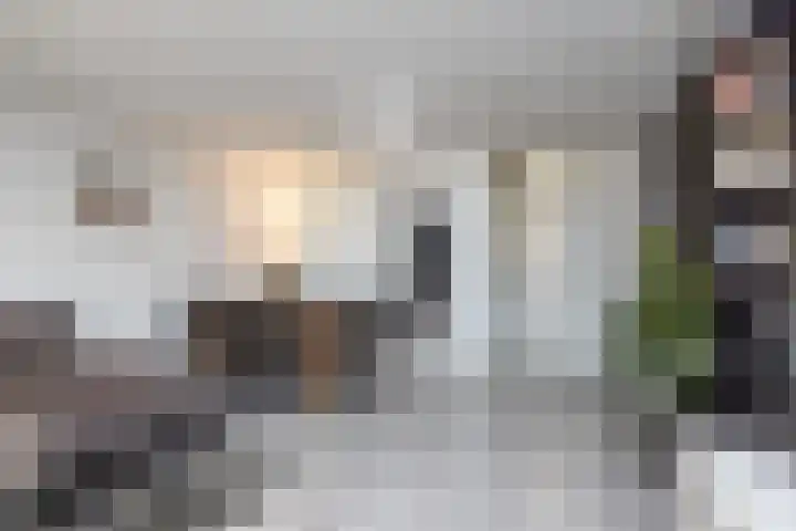 Pungel 31 Landgraaf thumbnail 5