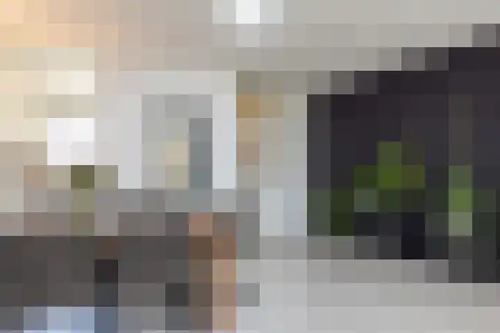 Pungel 31 Landgraaf thumbnail 7