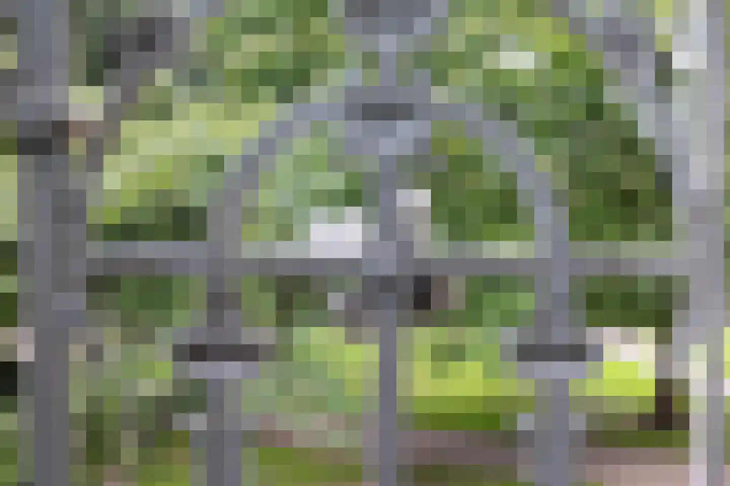 Punt 15 Gouda thumbnail 10
