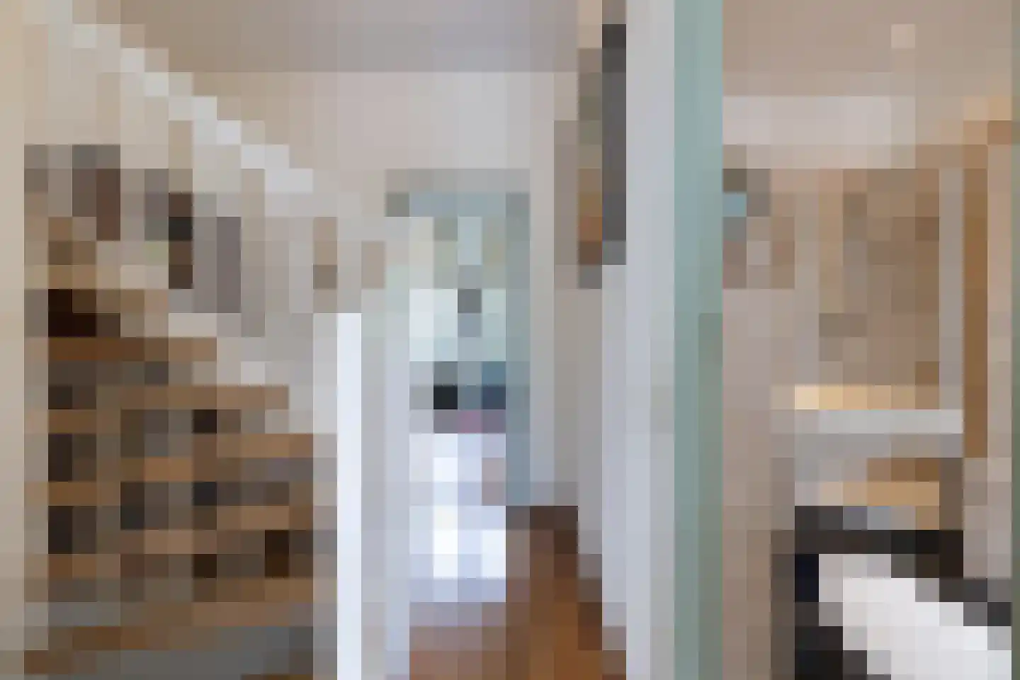 Punt 15 Gouda thumbnail 19