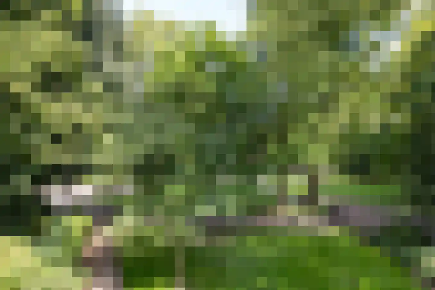 Punt 15 Gouda thumbnail 25