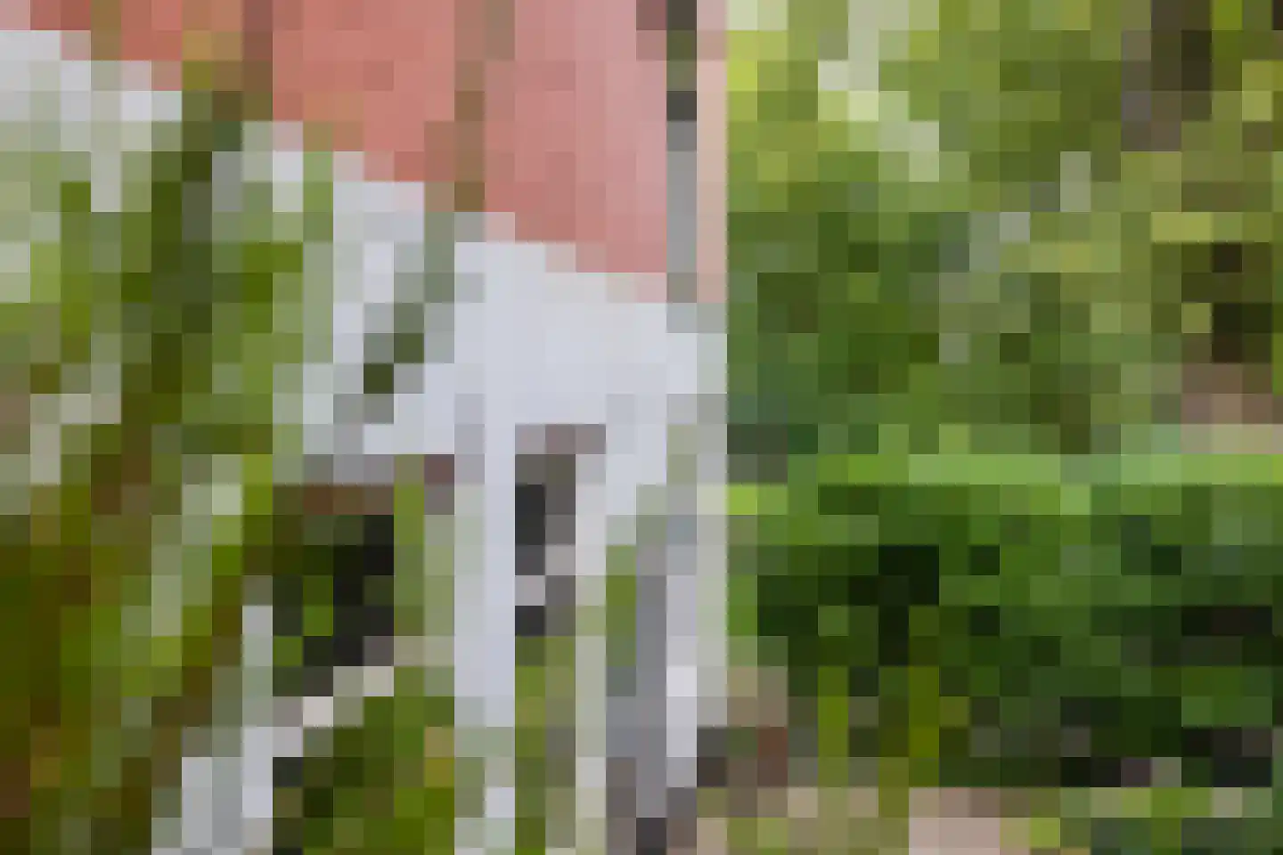 Punt 15 Gouda thumbnail 42