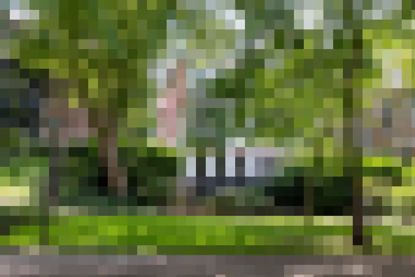 Punt 15 Gouda thumbnail 45