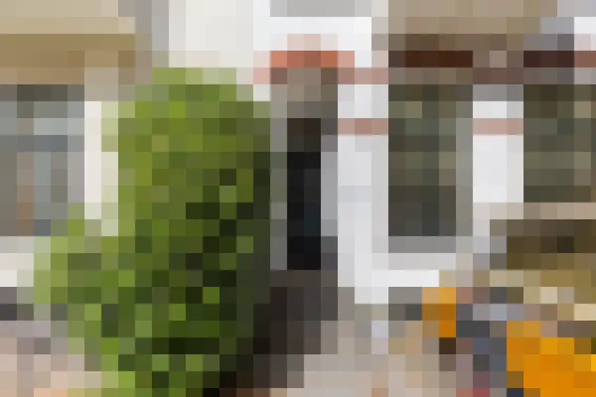 Punt 15 Gouda thumbnail 5