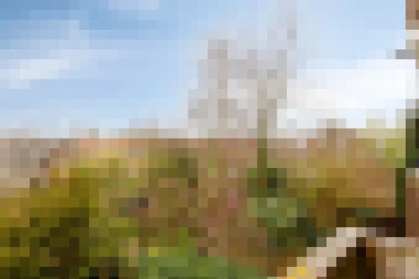 Punt 31 Middelburg thumbnail 12