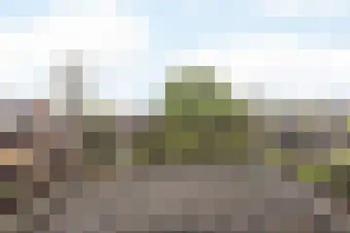 Puntelstraat 12 Simpelveld thumbnail 21