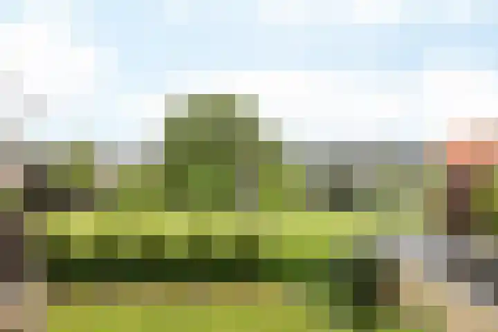 Puntelstraat 12 Simpelveld thumbnail 24