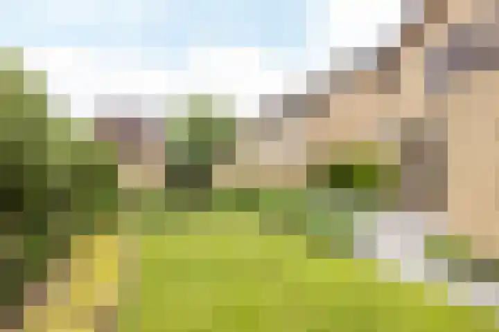 Puntelstraat 12 Simpelveld thumbnail 28