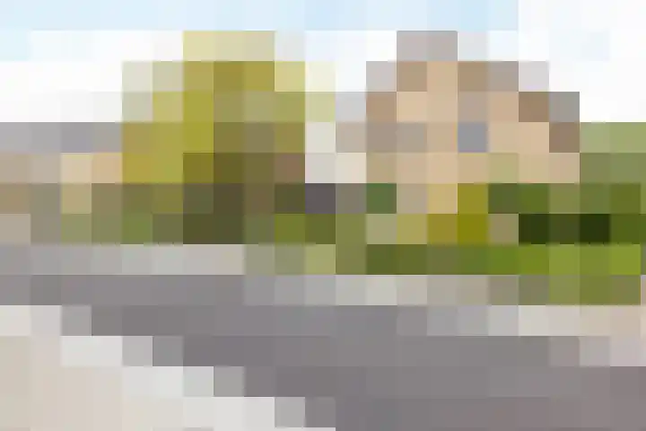 Puntelstraat 12 Simpelveld thumbnail 33
