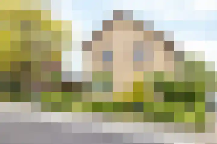 Puntelstraat 12 Simpelveld thumbnail 34