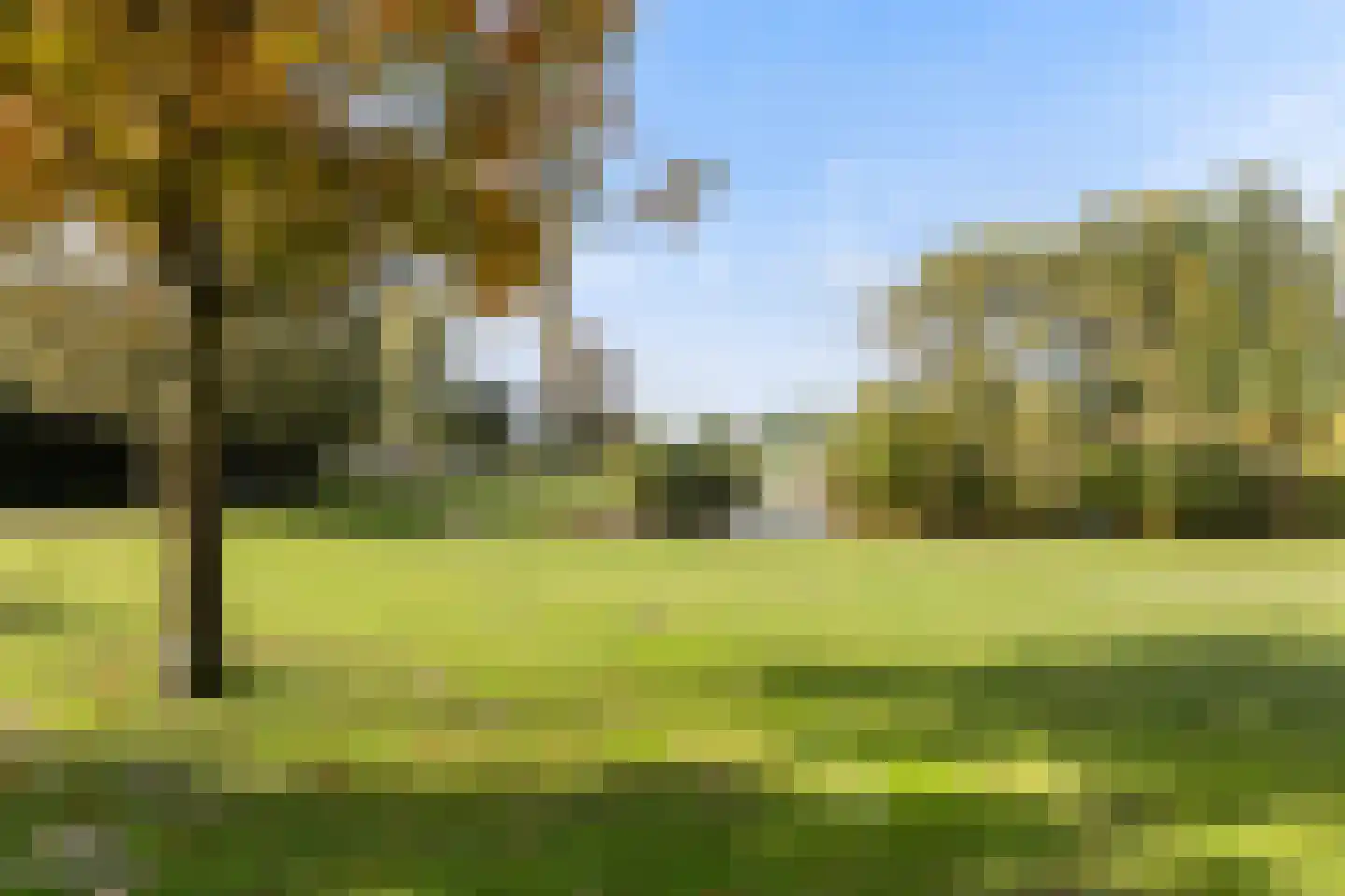 Puntenburg 8 Hoofddorp thumbnail 6