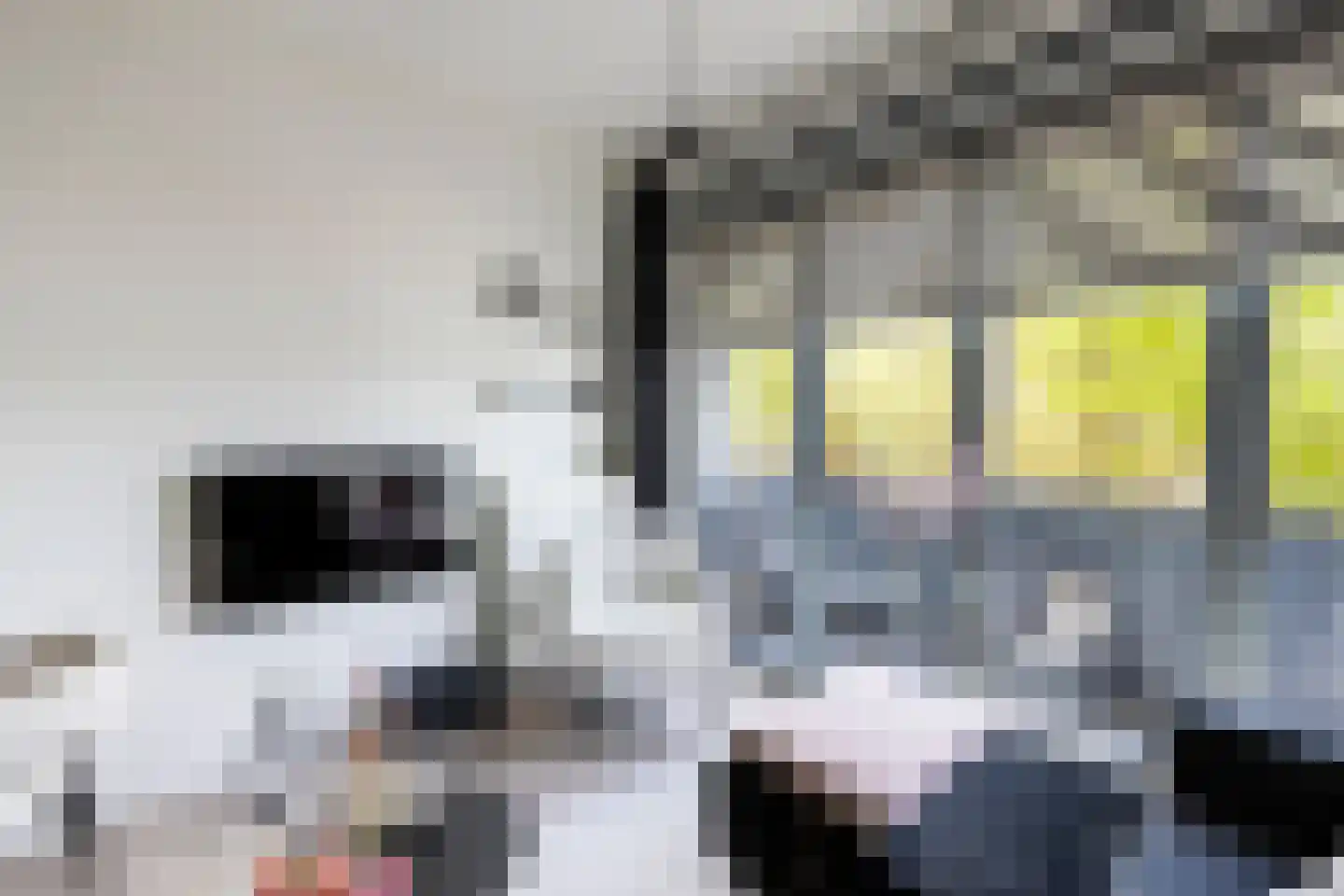 Puntenburgerlaan 109 Amersfoort thumbnail 9