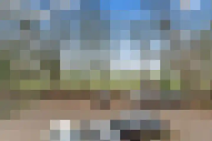 Puntenburgerlaan 127 Amersfoort thumbnail 21