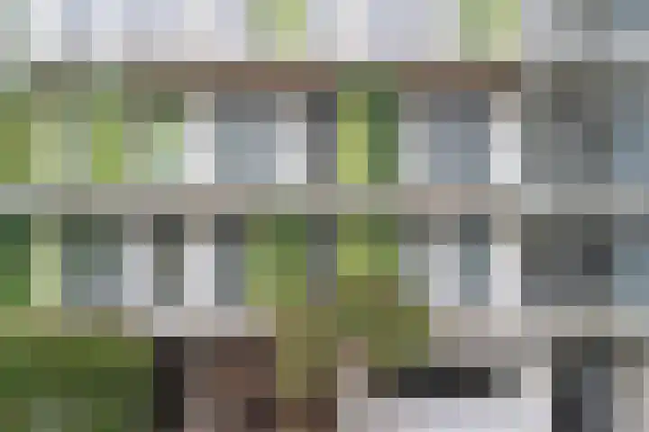 Puntenburgerlaan 127 Amersfoort thumbnail 42