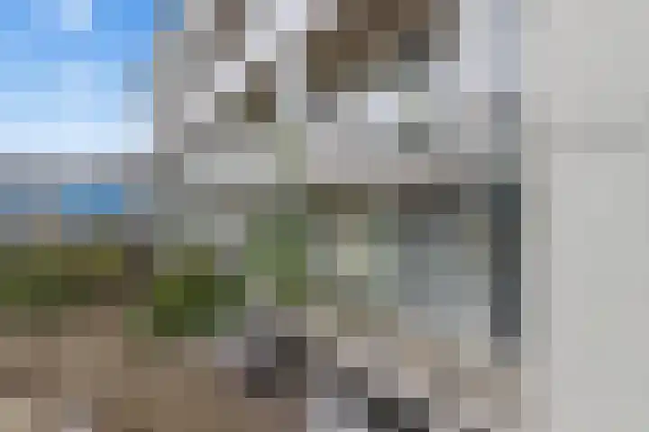 Puntenburgerlaan 127 Amersfoort thumbnail 43