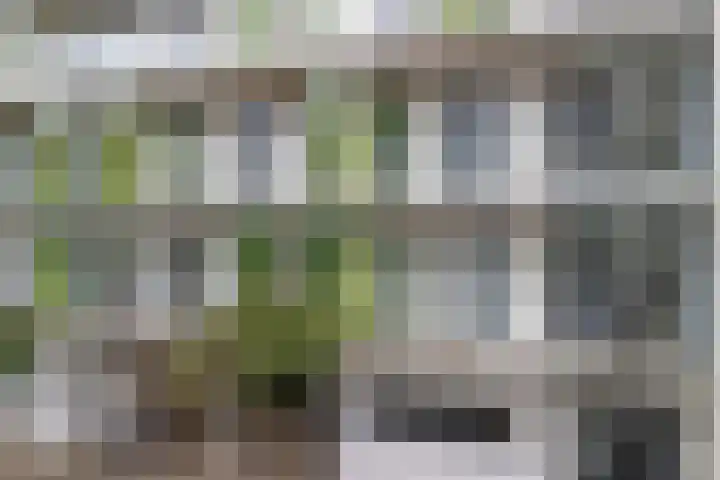 Puntenburgerlaan 127 Amersfoort thumbnail 9