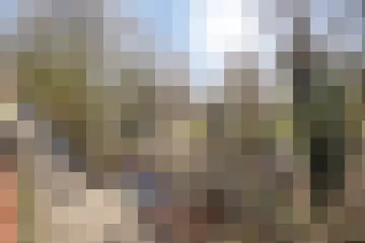 Puntenburgerlaan 135 Amersfoort thumbnail 8