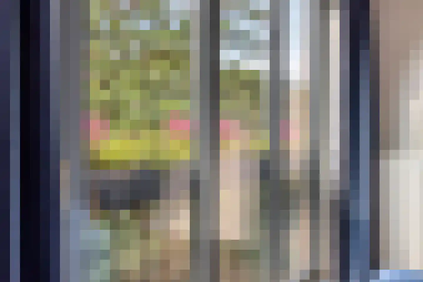 Puntenburgerlaan 153 Amersfoort thumbnail 8