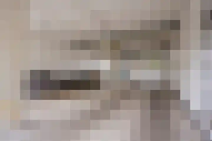 Puntenburgerlaan 165 Amersfoort thumbnail 21
