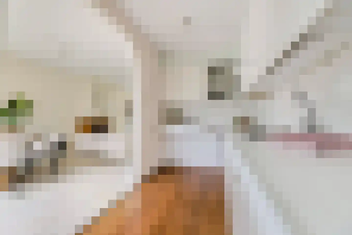 Puntenburgerlaan 50 Amersfoort thumbnail 19
