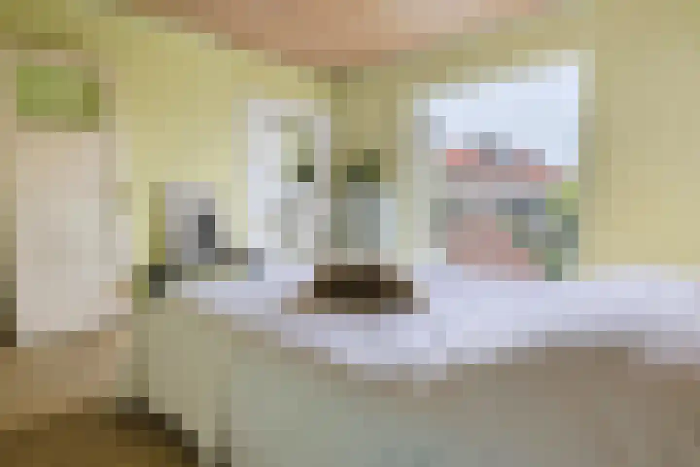 Puntenburgerlaan 50 Amersfoort thumbnail 27