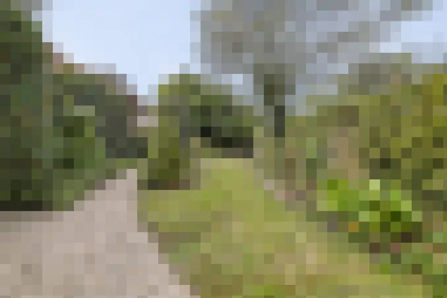 Puntenburgerlaan 50 Amersfoort thumbnail 41