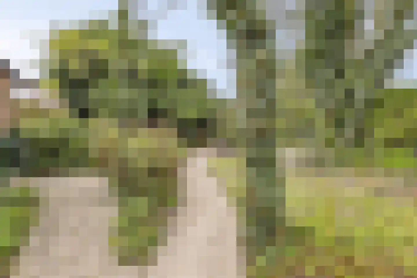 Puntenburgerlaan 50 Amersfoort thumbnail 43