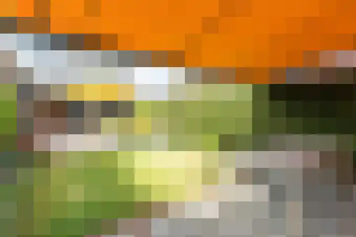Puntenburgerlaan 58 Amersfoort thumbnail 26