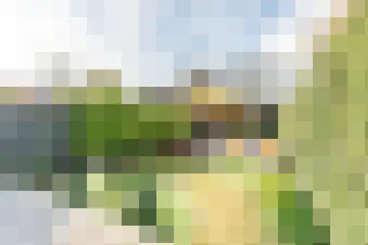 Puntenburgerlaan 58 Amersfoort thumbnail 27