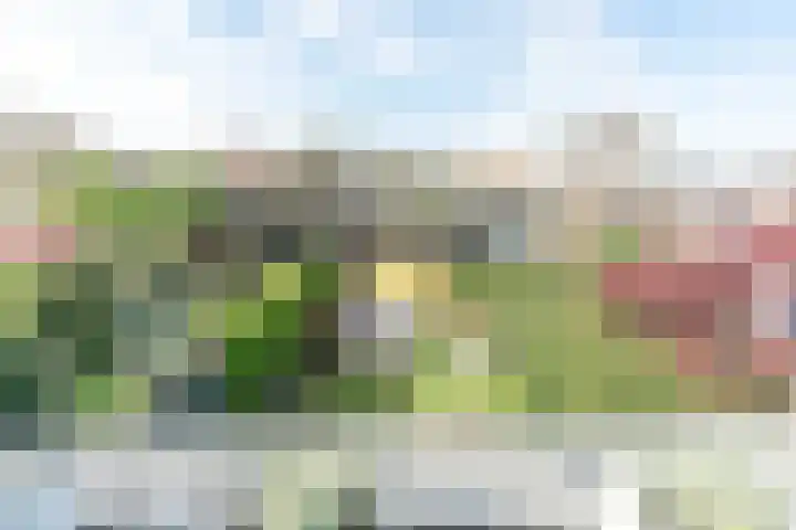 Puntenburgerlaan 58 Amersfoort thumbnail 31