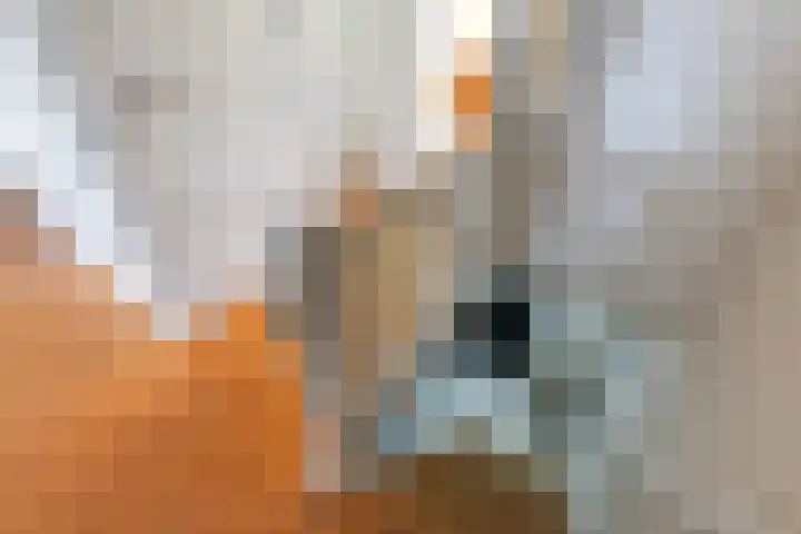 Puntenburgerlaan 58 Amersfoort thumbnail 32
