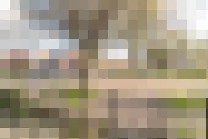 Puntenburgerlaan 58 Amersfoort thumbnail 5