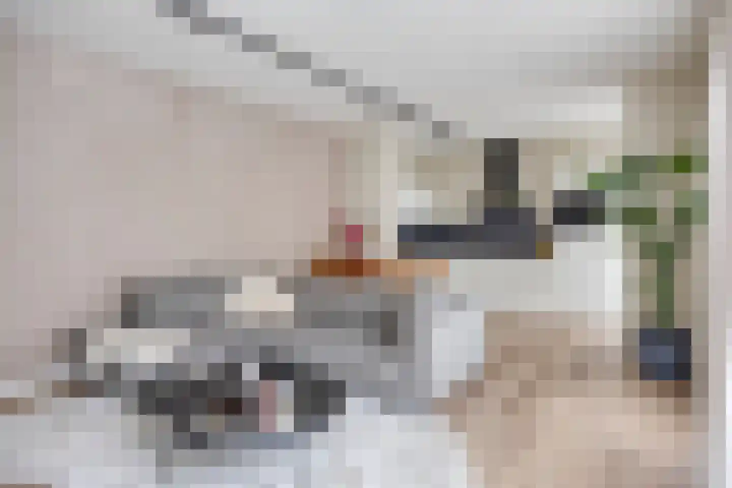Puntenburgerlaan 6 Amersfoort thumbnail 7