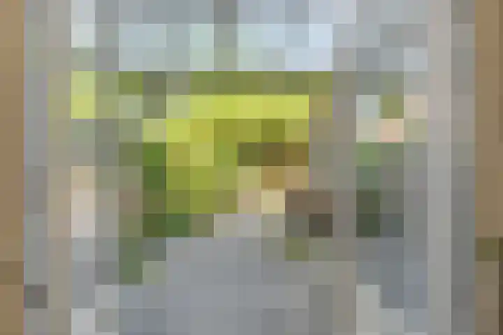 Puntenburgerlaan 65 Amersfoort thumbnail 10