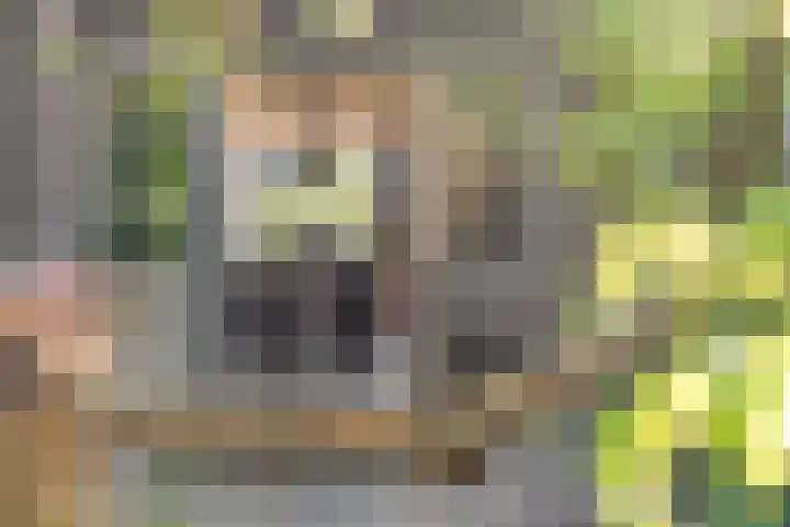 Puntenburgerlaan 65 Amersfoort thumbnail 12