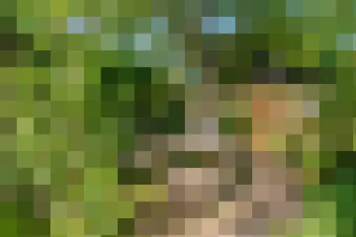Puntenburgerlaan 65 Amersfoort thumbnail 13