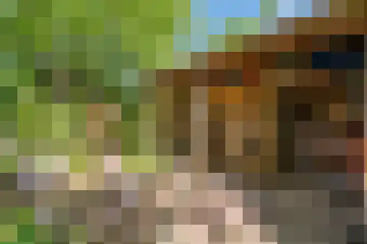 Puntenburgerlaan 65 Amersfoort thumbnail 14