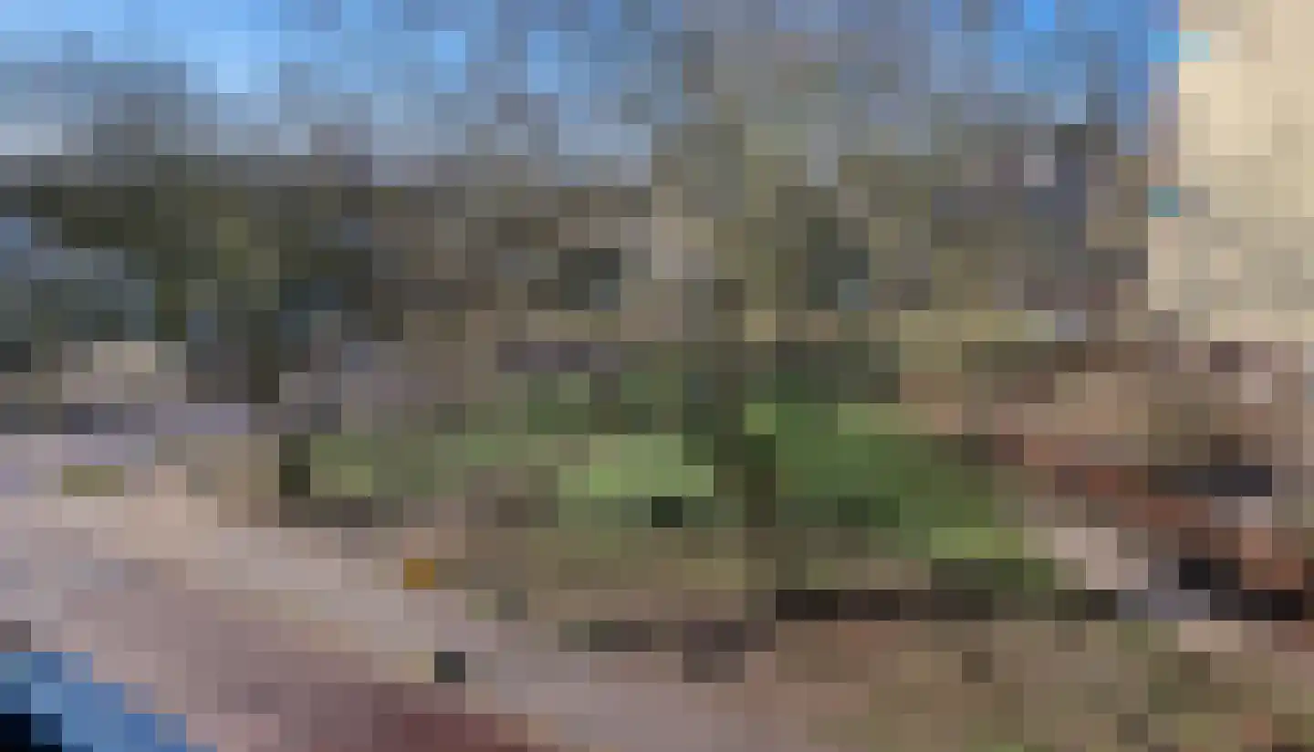 Puntenburgerlaan 81 A Amersfoort thumbnail 12